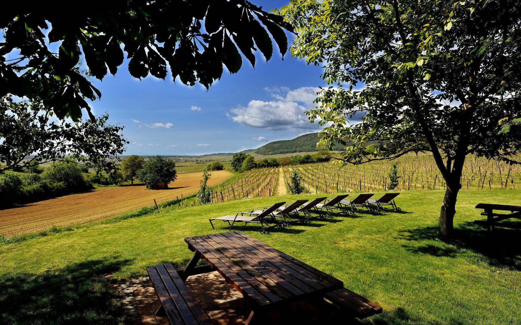 Hotel Du Bollenberg - Restaurant "Cote Plaine" - Spa De La Colline ウェスタルタン エクステリア 写真